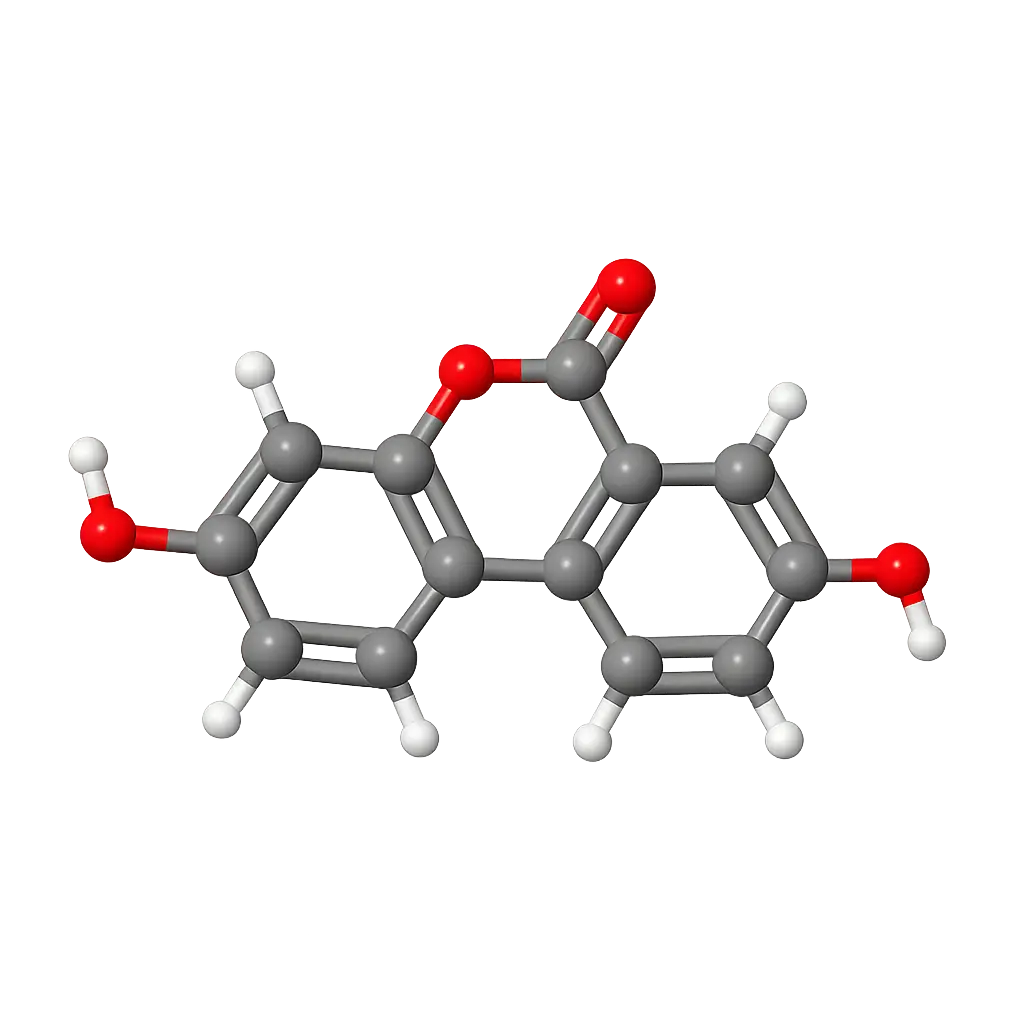 UA molekula felepitese
